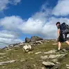 Conor - @conormacken - TikTok