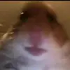 Connor Marks - @connormarks1 - TikTok