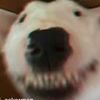 Conor Maxwell - @blubberboi999 - TikTok