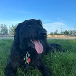 Conor McDermott - @mcdermott.conorj - Instagram