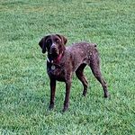 Conor McElroy - @conormcelroy80 - Instagram