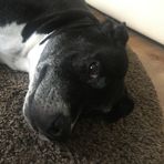 Connor Mills - Facebook