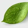 Conor Moore - @conor.moore66 - TikTok