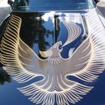 CONOR MORAN CARS - Facebook