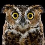 Conor Naughton - @conor.naughton.54 - Instagram