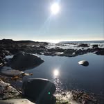 Conor Naughton - @conornaughton1977 - Instagram