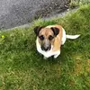 conor naughton - @conor.naughton3 - TikTok