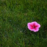 conor norris - @contography99 - Instagram