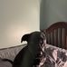 Connor Patterson - Facebook