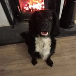 Conor Rice - @conorr1ce - Instagram