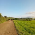 conor roche - @conor_roche_09 - Instagram
