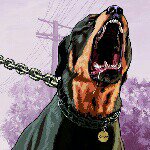 Conor Roche - @conor.roche.313 - Instagram