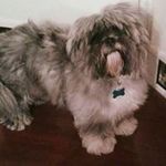 Conor Rodgers - @rodgers.conor - Instagram