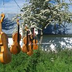 Conor Russell. Violin Maker - Facebook