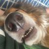 Crussel - @conor.russell08 - TikTok