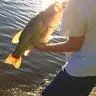 Conor Shields Fishing - @conorshieldsfishi - TikTok
