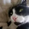 Connor Wilkinson - @connor.wilkinson97 - TikTok