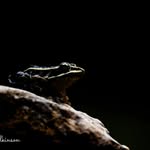 Conor Wilkinson - @conor_wilk_photography - Instagram