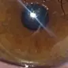 Conrad - @conrad.hale - TikTok
