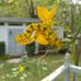 Conrad Bouchard - Facebook