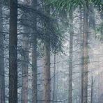 Conrad Cantrell - Facebook