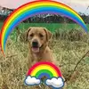 Conrad Cooper - @radspar0107 - TikTok
