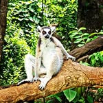 Conrad Haas - @haas_conrad - Instagram