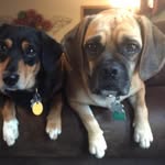 Lisa Conrady Hammonds - @conradyhammonds - Instagram