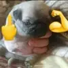 Maxwell Conrado - @maxwell.conrado - TikTok