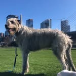 Conrad Albion Morris - @conrad_mycomrade - Instagram