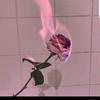 conradmoss258 - @conradmoss258 - TikTok