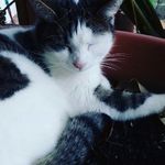 conrsd - @conradmueller22 - Instagram