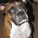 Konrad Murphy - Facebook