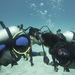 Conrad Palmer - @cjpsparks - Instagram