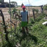Rosales Conrad - @rosalesconrad - Instagram
