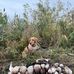 Conrad Sanchez - Facebook
