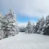 ⛷️🏂 - @trevorconradsnow - TikTok