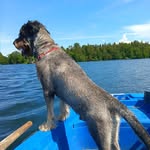 Conrad Spencer - @conradsp - Instagram