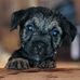 Conrad Thorpe - Facebook