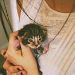 Constance Adams - @constance.adams.77312 - Instagram