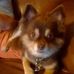 Constance Bond - Facebook