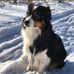 Constance Braun - Facebook