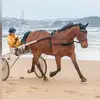 constance.brauns - @constance.brauns - TikTok