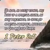 Constance Brewer - @constance.brewer - TikTok