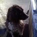 Connie Burroughes - Facebook