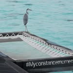 Constance Crane - @mrconstancecrane - Instagram