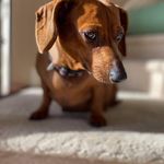 Constance Day - @constance.44 - Instagram
