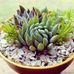 Constanza Emhart Schmidt - Facebook