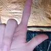 constanceevans1999 - @constanceevans1999 - TikTok