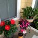 Constance McLaughlin - Facebook